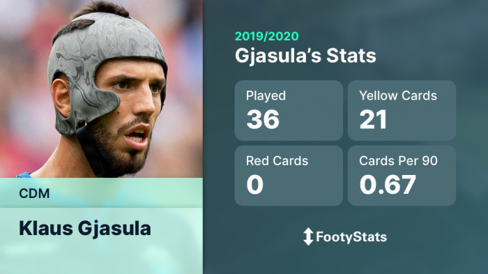 Defensive Midfield (CDM): Klaus Gjasula